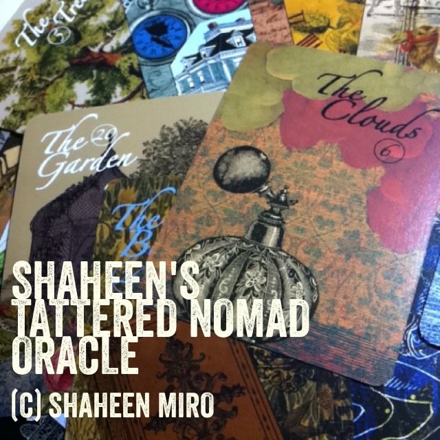 shaheen oracle