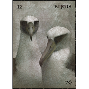Albatross feature on the Bird card. Sailors have long held a deep superstition about these birds!